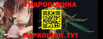 spice Кунгур