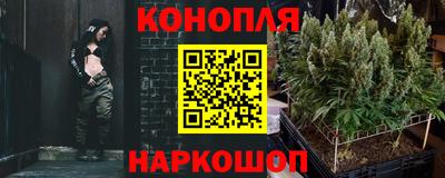 spice Кунгур