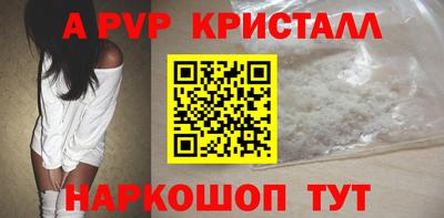 spice Кунгур