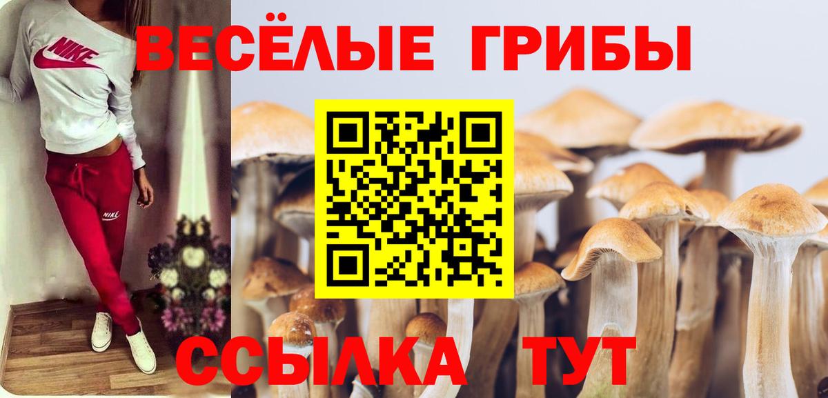 Псилоцибиновые грибы прущие грибы  Вход с VPN  Шадринск 